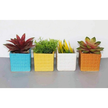 4 Square Shape Ceramic Pot